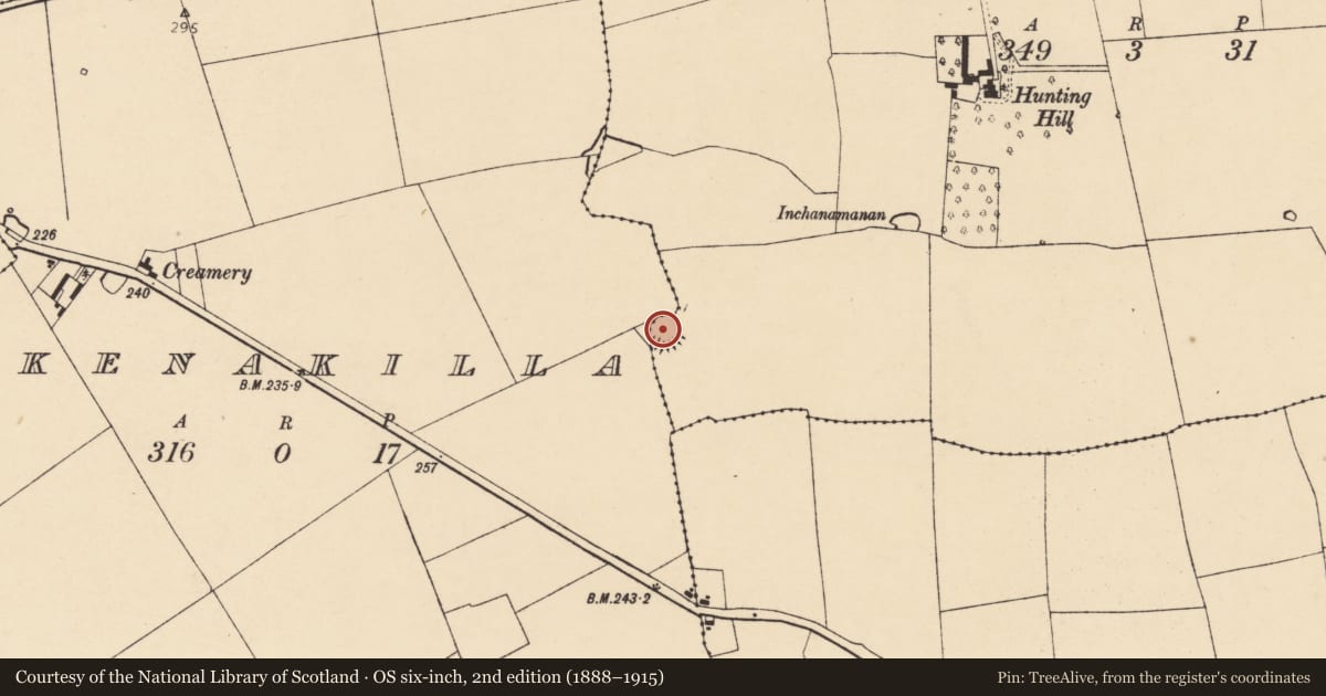 Ordnance Survey six-inch map, 2nd edition (1888–1915) covering the location of Ringfort - rath, Ballyhimock, County Cork, with a pin at the register's coordinates