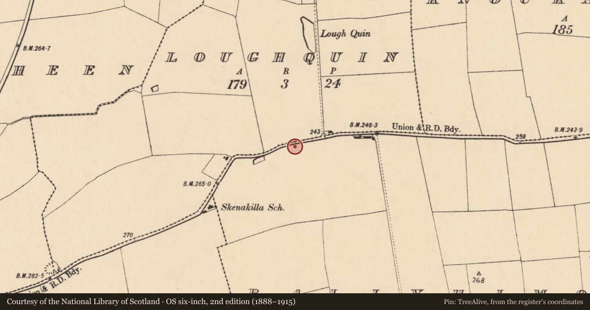 Ordnance Survey six-inch map, 2nd edition (1888–1915) covering the location of Fulacht fia, Ballyhimock, County Cork, with a pin at the register's coordinates