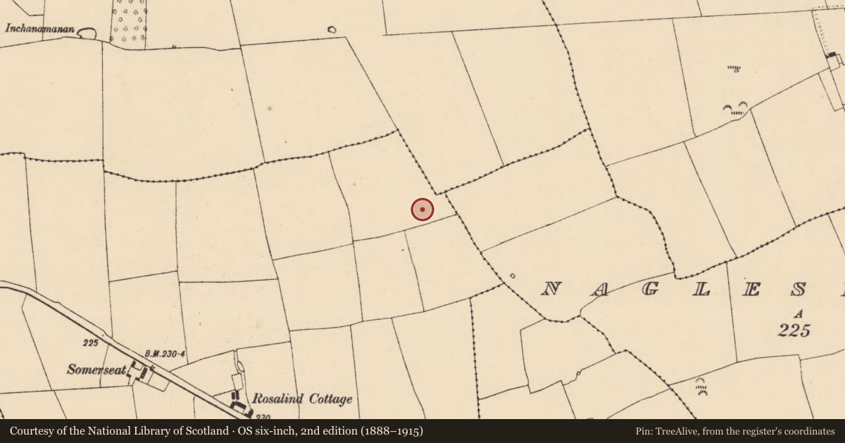 Ordnance Survey six-inch map, 2nd edition (1888–1915) covering the location of Ringfort - rath, Castletownroche, County Cork, with a pin at the register's coordinates