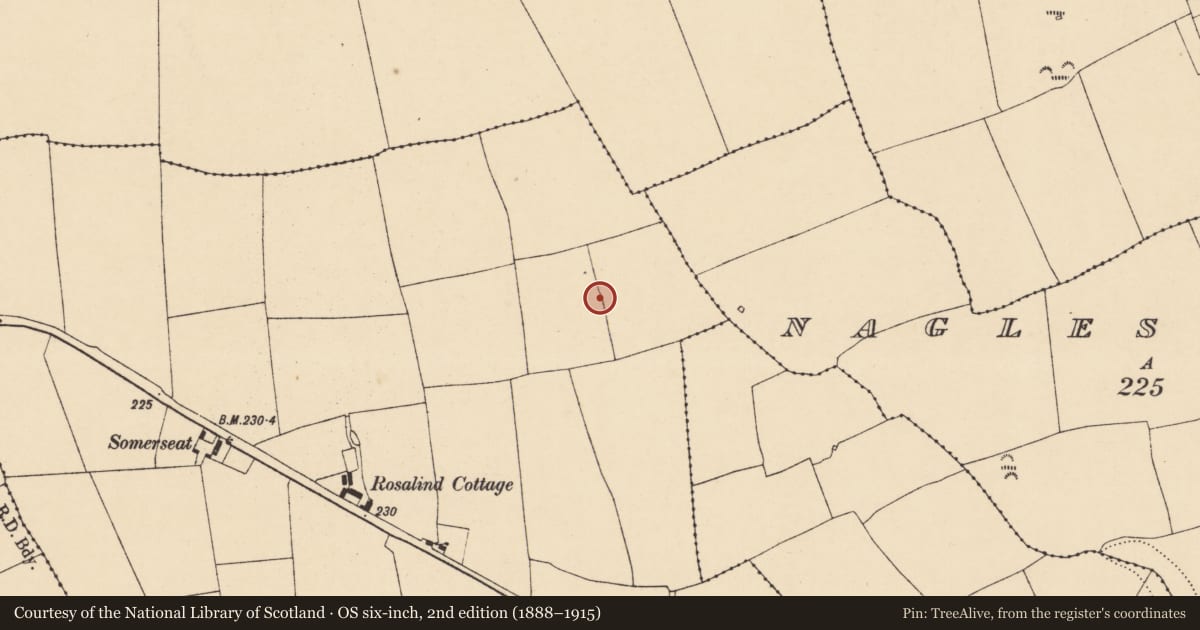 Ordnance Survey six-inch map, 2nd edition (1888–1915) covering the location of Ringfort - rath, Castletownroche, County Cork, with a pin at the register's coordinates