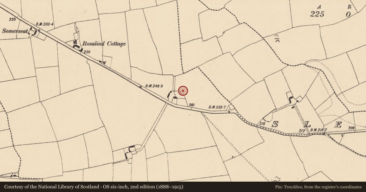 Ordnance Survey six-inch map, 2nd edition (1888–1915) covering the location of Ringfort - rath, Castletownroche, County Cork, with a pin at the register's coordinates