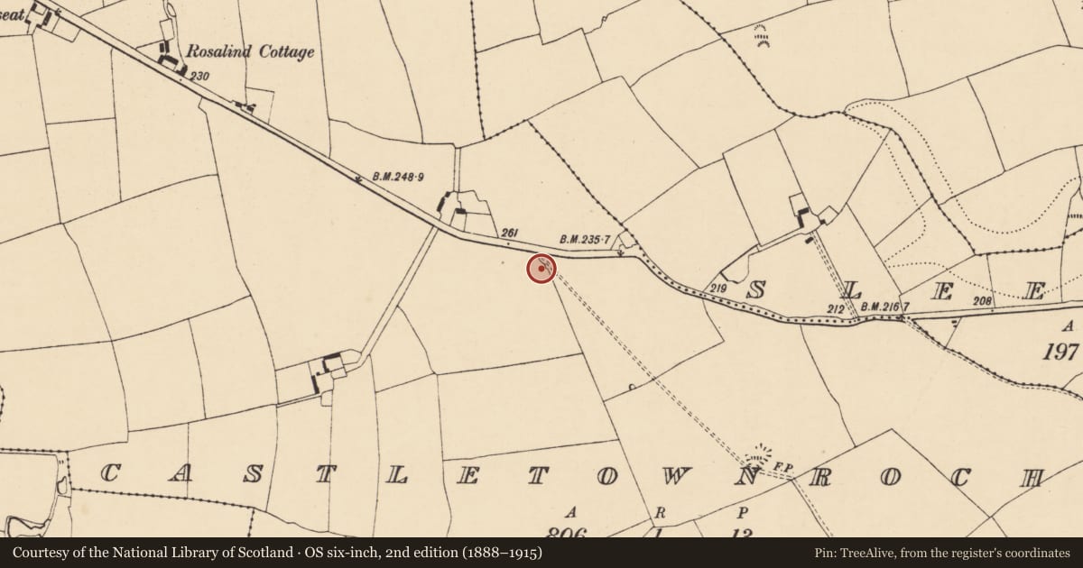 Ordnance Survey six-inch map, 2nd edition (1888–1915) covering the location of Barrow - ring-barrow, Castletownroche, County Cork, with a pin at the register's coordinates