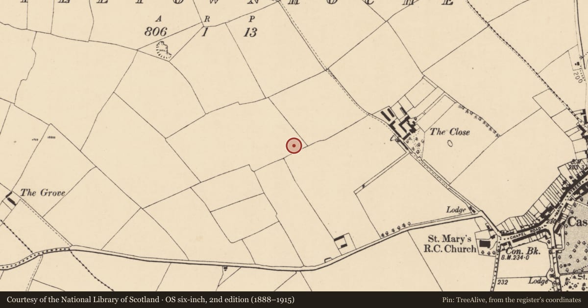 Ordnance Survey six-inch map, 2nd edition (1888–1915) covering the location of Ringfort - rath, Castletownroche, County Cork, with a pin at the register's coordinates