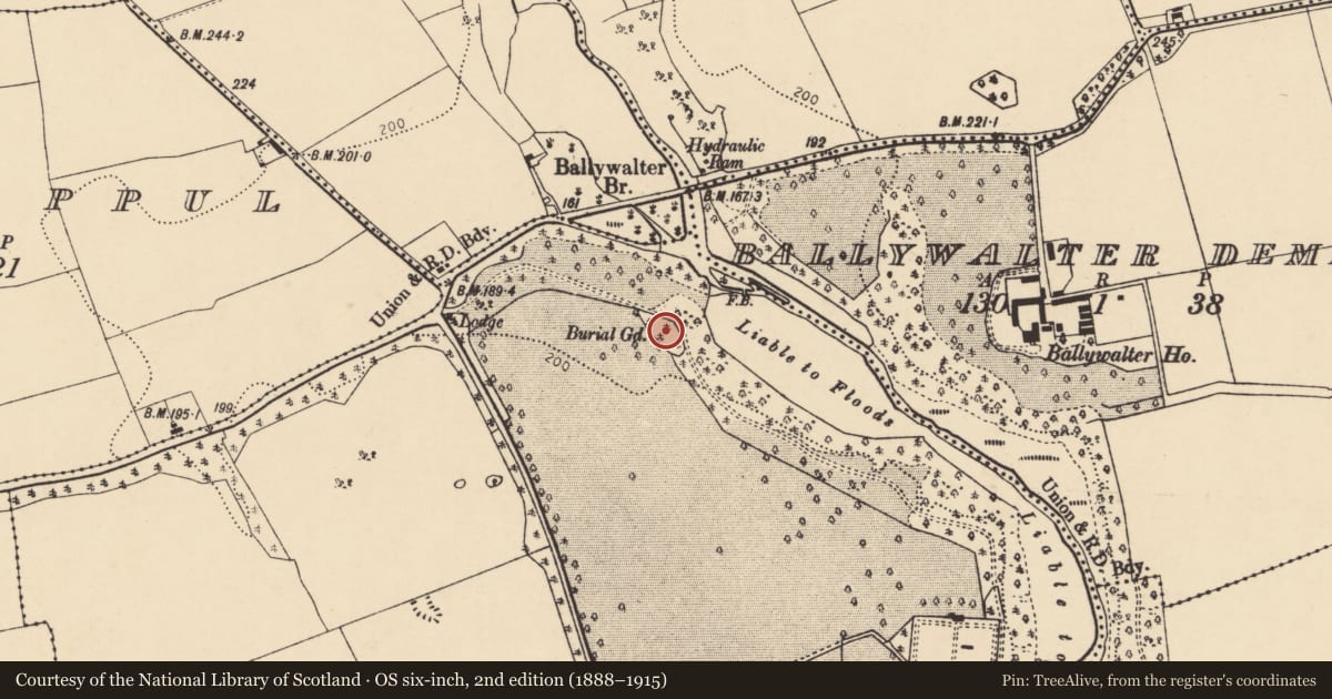 Ordnance Survey six-inch map, 2nd edition (1888–1915) covering the location of Burial ground, Annesgrove, County Cork, with a pin at the register's coordinates