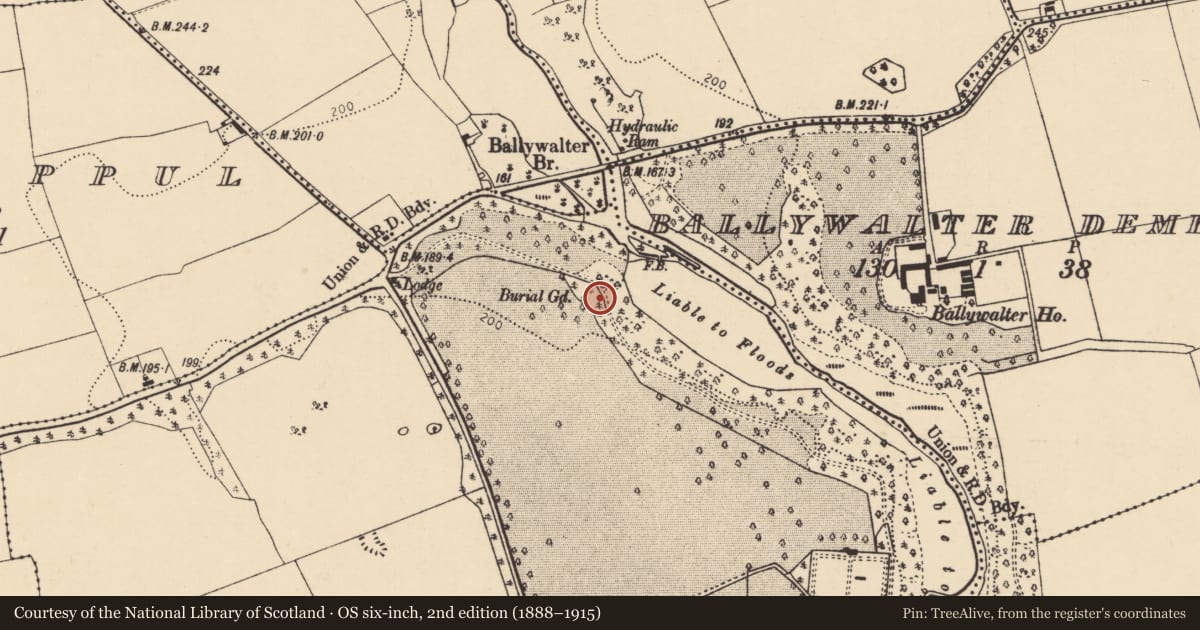 Ordnance Survey six-inch map, 2nd edition (1888–1915) covering the location of Cist, Annesgrove, County Cork, with a pin at the register's coordinates