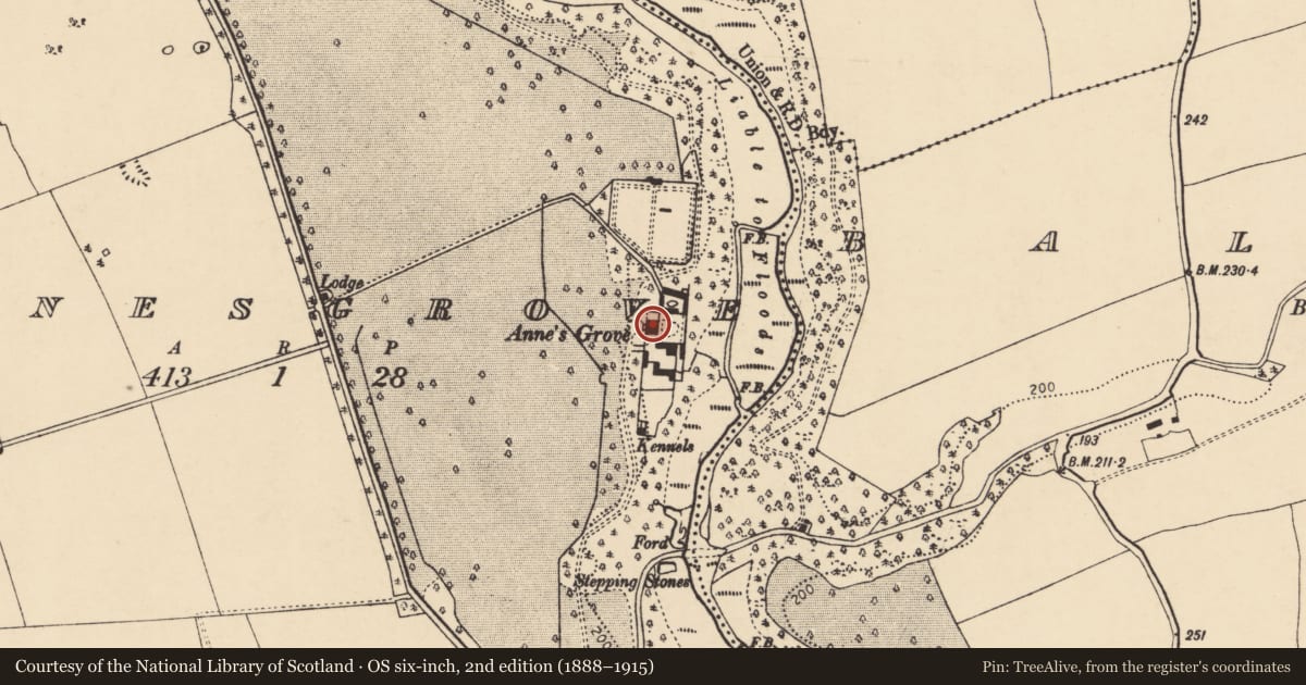 Ordnance Survey six-inch map, 2nd edition (1888–1915) covering the location of Country house, Annesgrove, County Cork, with a pin at the register's coordinates