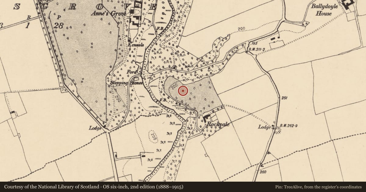Ordnance Survey six-inch map, 2nd edition (1888–1915) covering the location of Ringfort - rath, Ballydoyle, County Cork, with a pin at the register's coordinates