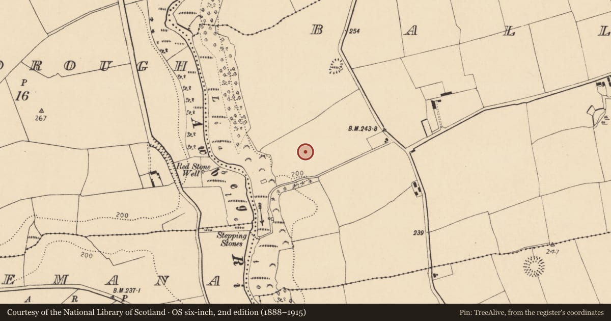 Ordnance Survey six-inch map, 2nd edition (1888–1915) covering the location of Cist, Ballinvoher, County Cork, with a pin at the register's coordinates