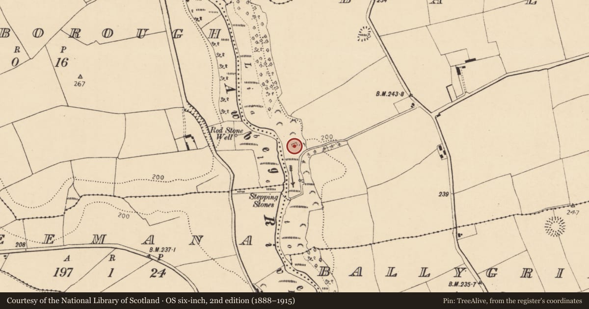 Ordnance Survey six-inch map, 2nd edition (1888–1915) covering the location of Mill - corn, Ballinvoher, County Cork, with a pin at the register's coordinates