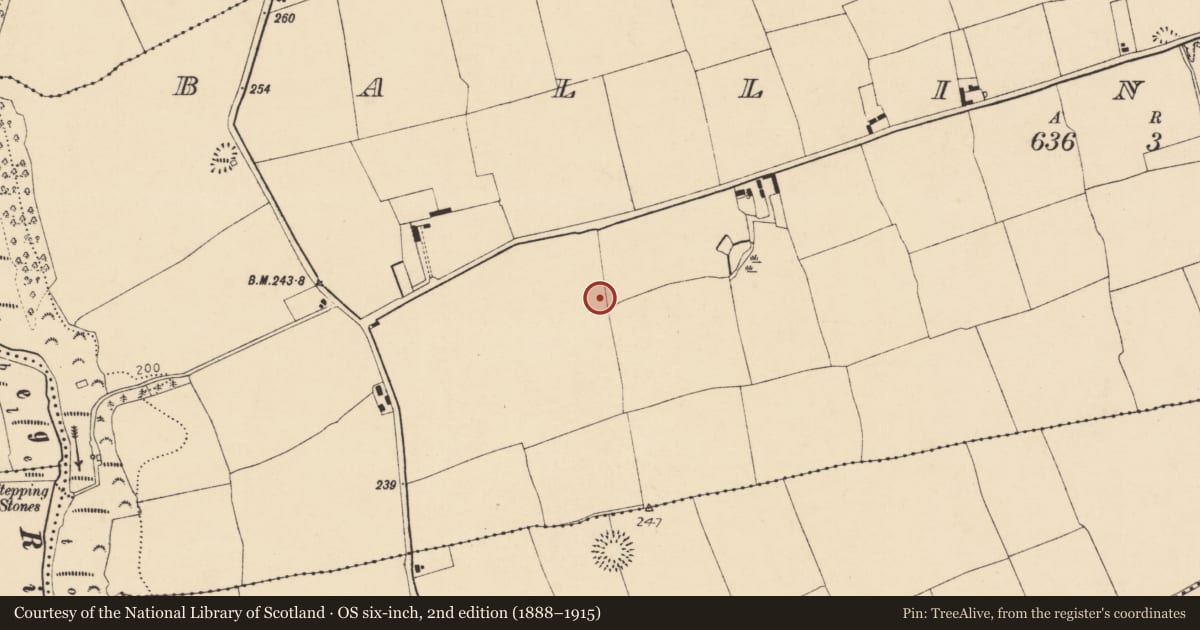 Ordnance Survey six-inch map, 2nd edition (1888–1915) covering the location of Ringfort - rath, Ballinvoher, County Cork, with a pin at the register's coordinates