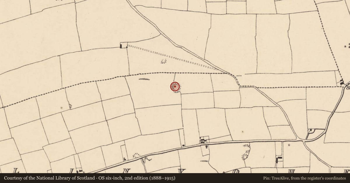 Ordnance Survey six-inch map, 2nd edition (1888–1915) covering the location of Ringfort - rath, Ballinvoher, County Cork, with a pin at the register's coordinates