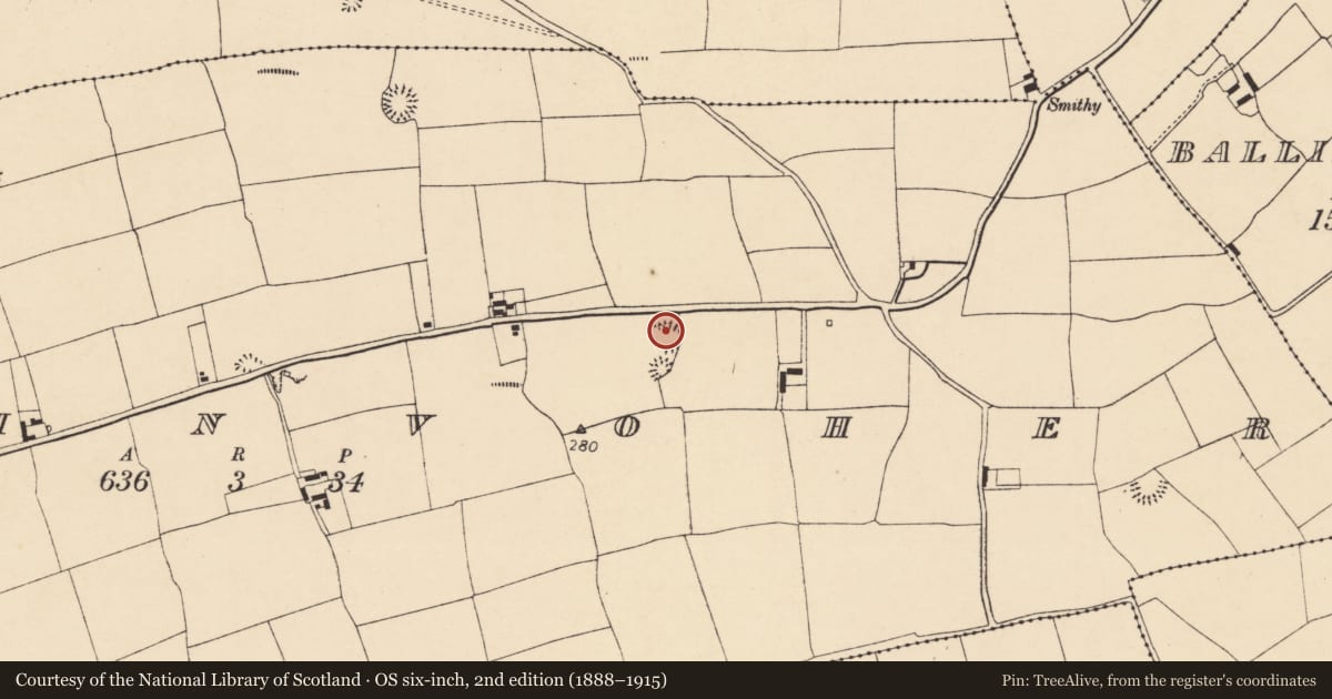 Ordnance Survey six-inch map, 2nd edition (1888–1915) covering the location of Ringfort - rath, Ballinvoher, County Cork, with a pin at the register's coordinates
