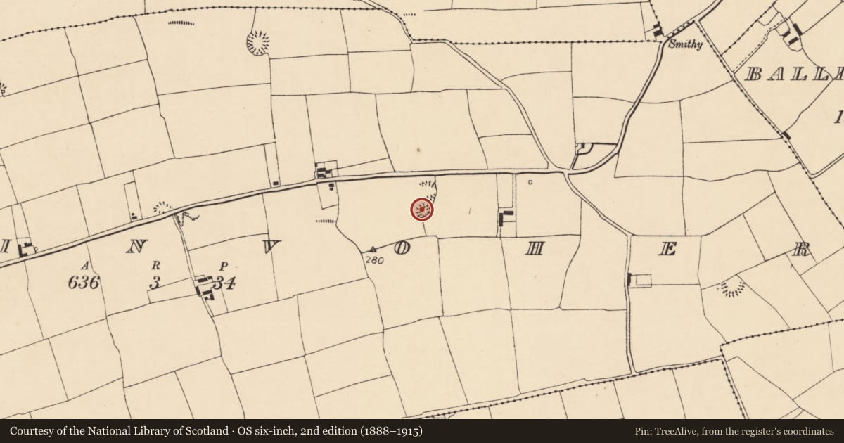 Ordnance Survey six-inch map, 2nd edition (1888–1915) covering the location of Ringfort - rath, Ballinvoher, County Cork, with a pin at the register's coordinates