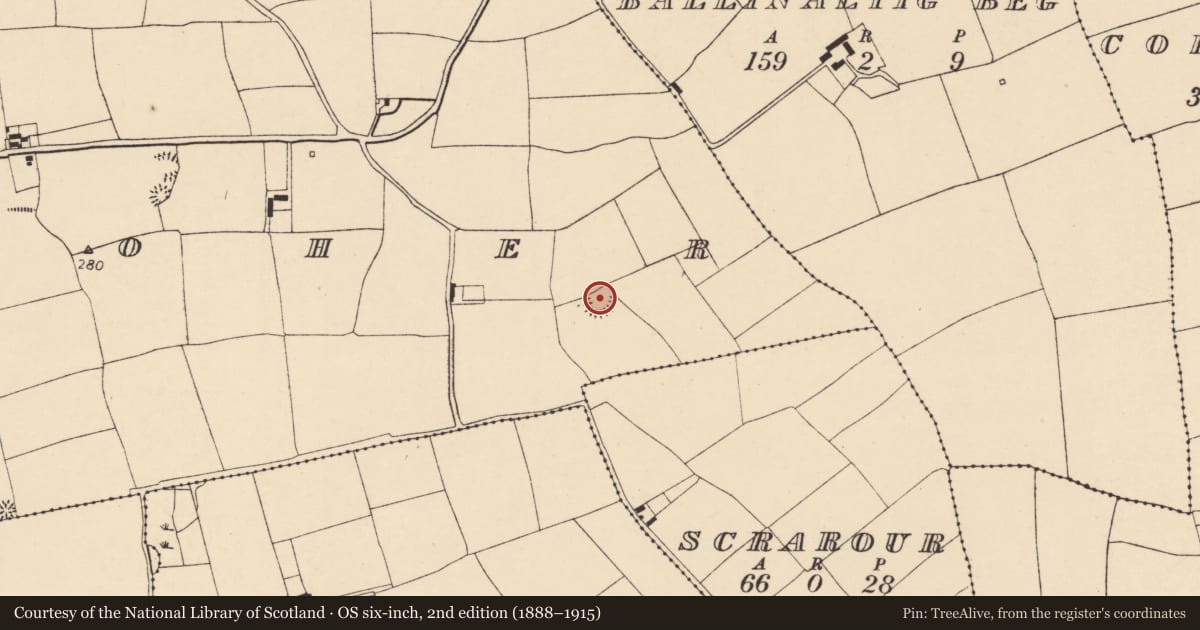 Ordnance Survey six-inch map, 2nd edition (1888–1915) covering the location of Ringfort - rath, Ballinvoher, County Cork, with a pin at the register's coordinates