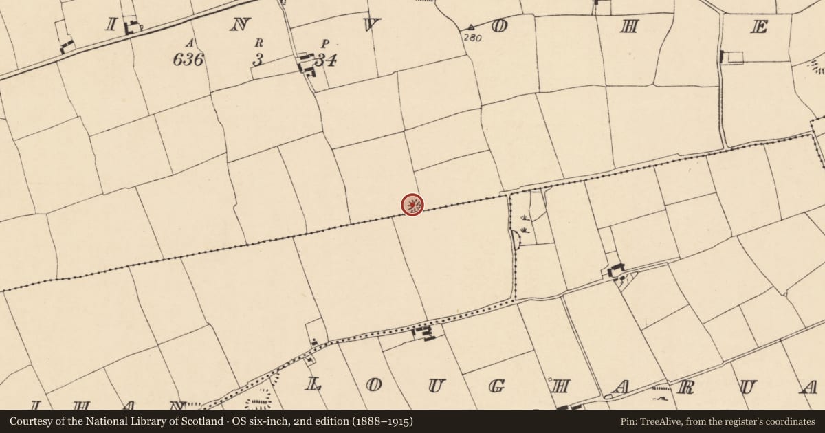 Ordnance Survey six-inch map, 2nd edition (1888–1915) covering the location of Enclosure, Ballinvoher, County Cork, with a pin at the register's coordinates