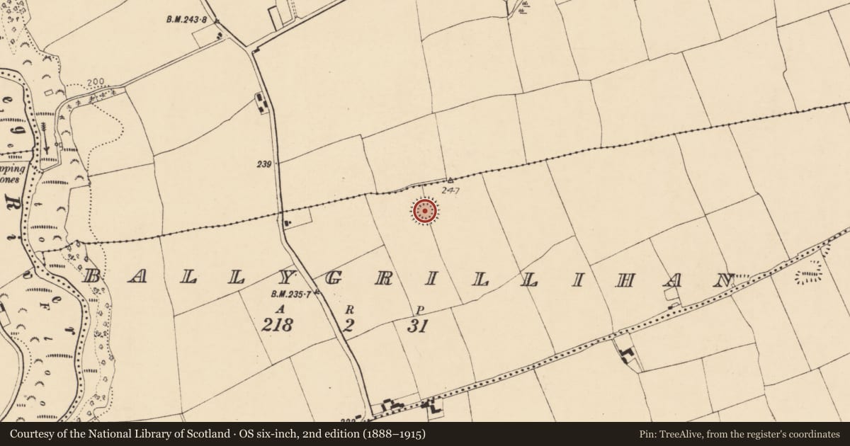 Ordnance Survey six-inch map, 2nd edition (1888–1915) covering the location of Enclosure, Ballygrillihan, County Cork, with a pin at the register's coordinates