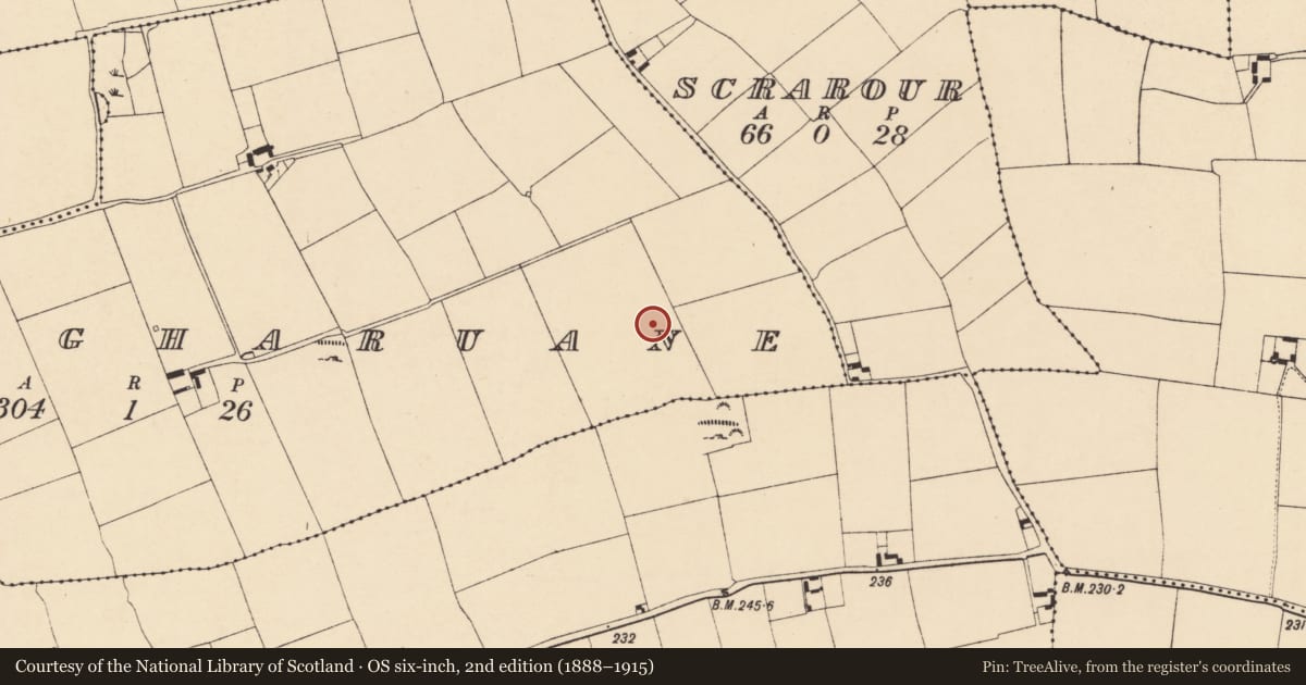 Ordnance Survey six-inch map, 2nd edition (1888–1915) covering the location of Ringfort - rath, Lougharuane, County Cork, with a pin at the register's coordinates