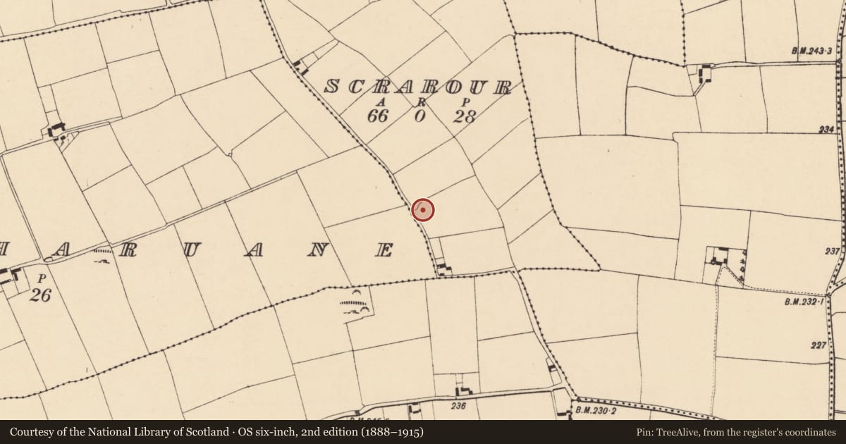 Ordnance Survey six-inch map, 2nd edition (1888–1915) covering the location of Ringfort - rath, Scrarour, County Cork, with a pin at the register's coordinates
