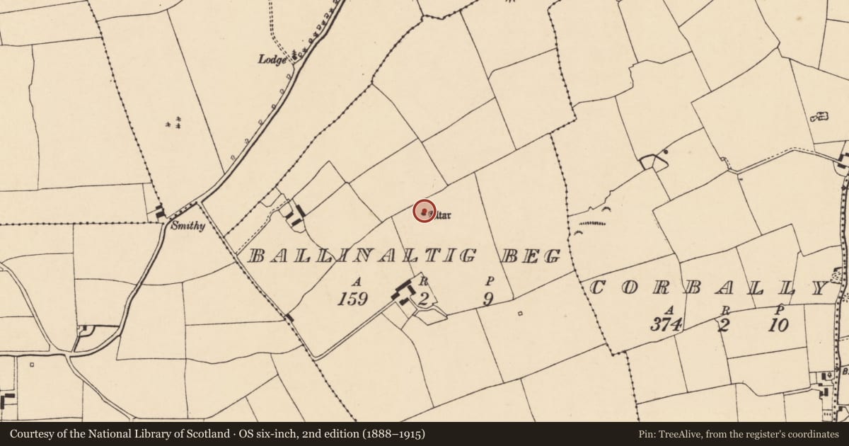 Ordnance Survey six-inch map, 2nd edition (1888–1915) covering the location of Mass-rock, Ballinaltig Beg, County Cork, with a pin at the register's coordinates