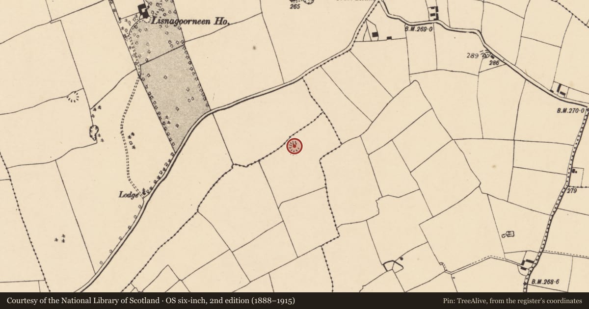 Ordnance Survey six-inch map, 2nd edition (1888–1915) covering the location of Ringfort - rath, Ballinaltig Beg, County Cork, with a pin at the register's coordinates