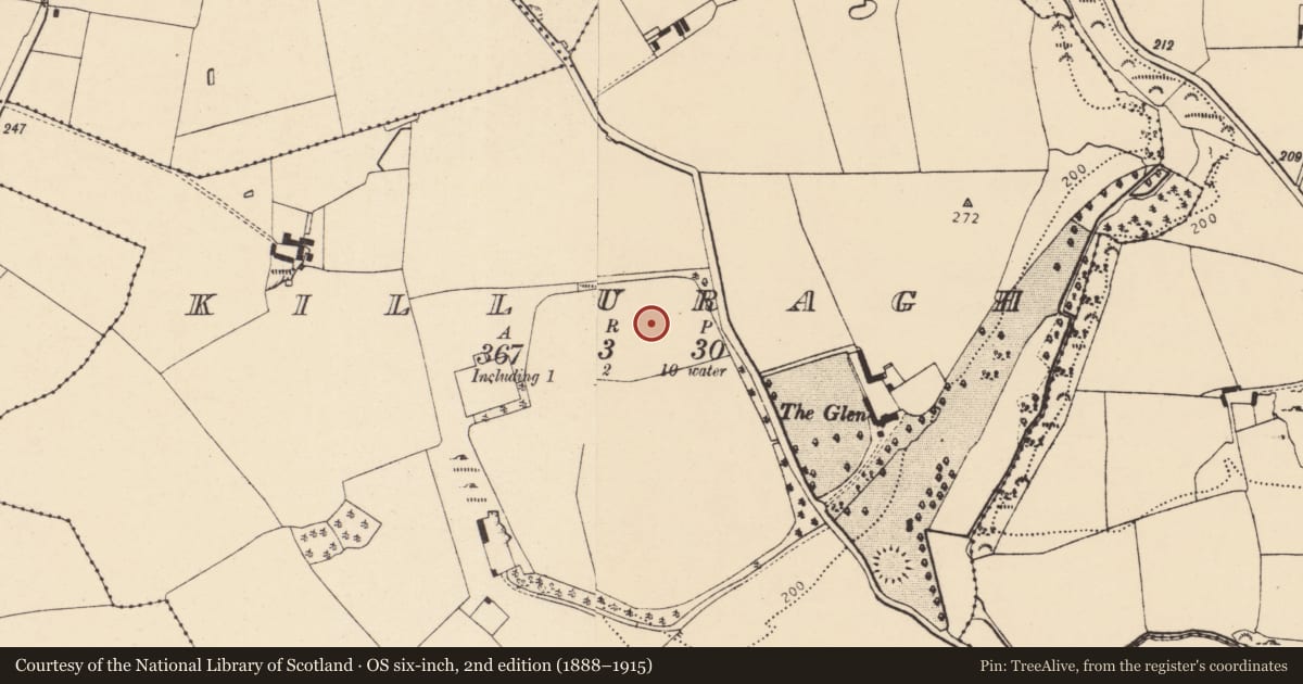 Ordnance Survey six-inch map, 2nd edition (1888–1915) covering the location of Designed landscape feature, Killuragh, County Cork, with a pin at the register's coordinates