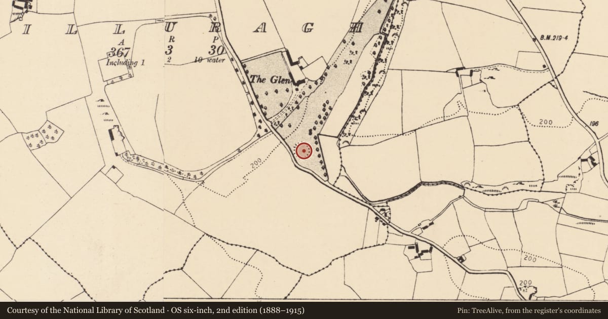 Ordnance Survey six-inch map, 2nd edition (1888–1915) covering the location of Ringfort - rath, Killuragh, County Cork, with a pin at the register's coordinates