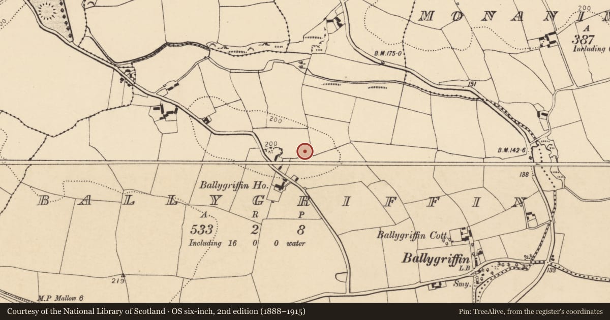 Ordnance Survey six-inch map, 2nd edition (1888–1915) covering the location of Ringfort - rath, Ballygriffin, County Cork, with a pin at the register's coordinates