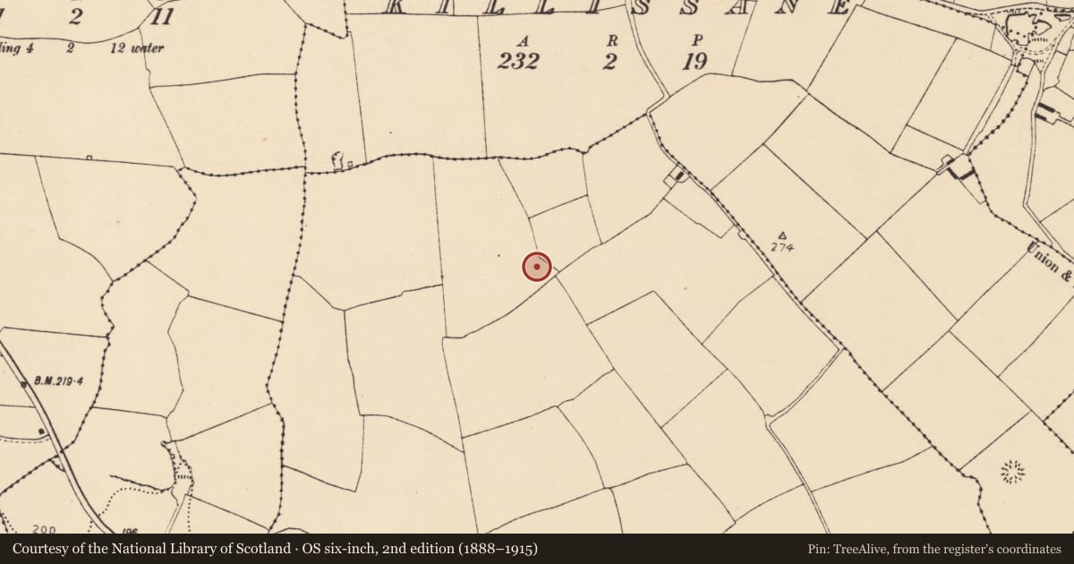 Ordnance Survey six-inch map, 2nd edition (1888–1915) covering the location of Ringfort - rath, Monanimy Upper, County Cork, with a pin at the register's coordinates