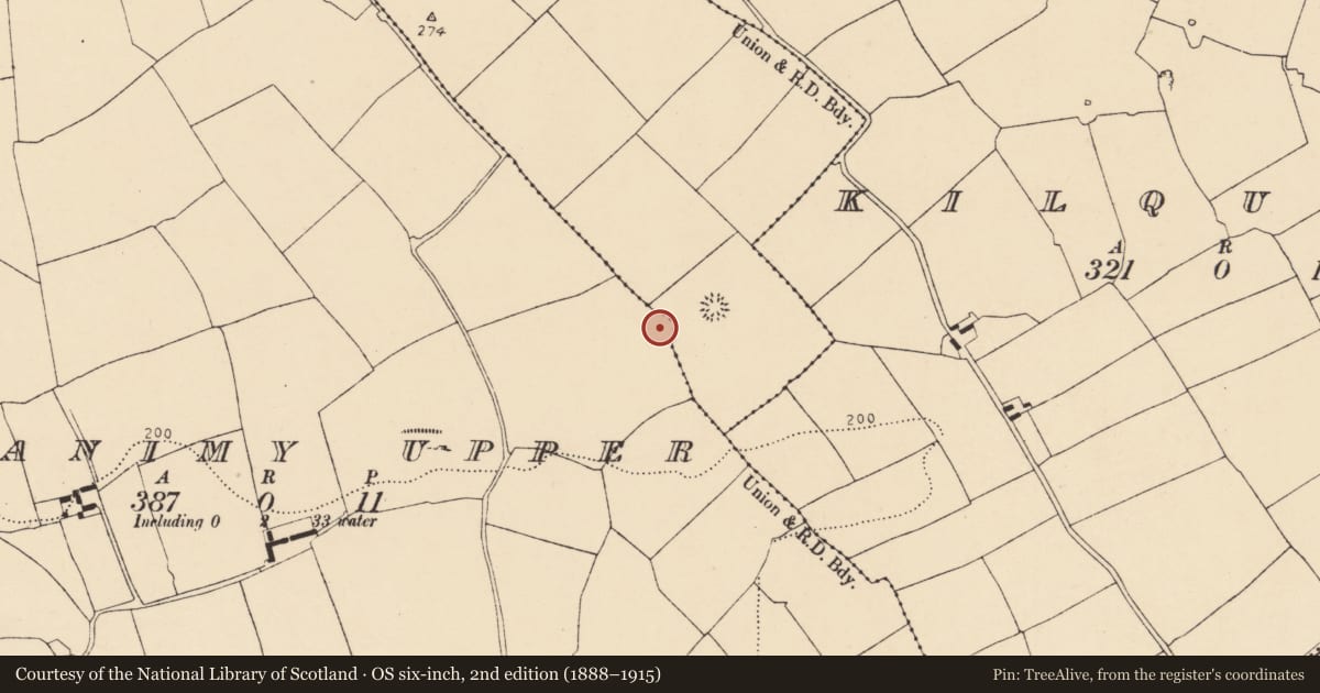 Ordnance Survey six-inch map, 2nd edition (1888–1915) covering the location of Ringfort - rath, Monanimy Upper, County Cork, with a pin at the register's coordinates