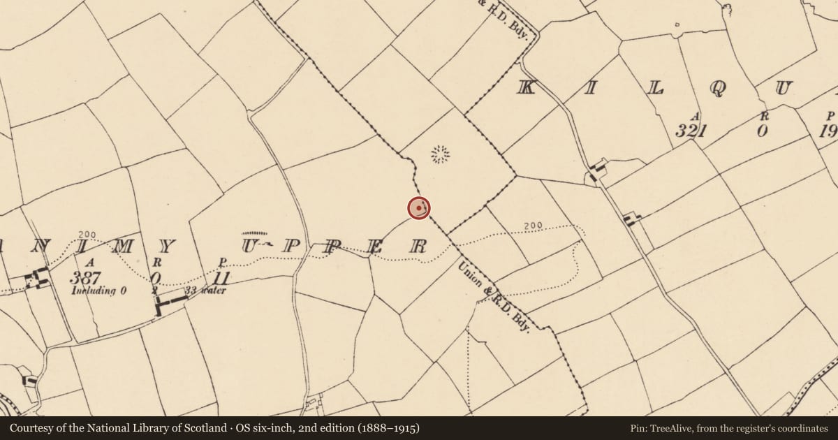 Ordnance Survey six-inch map, 2nd edition (1888–1915) covering the location of Ringfort - rath, Monanimy Upper, County Cork, with a pin at the register's coordinates