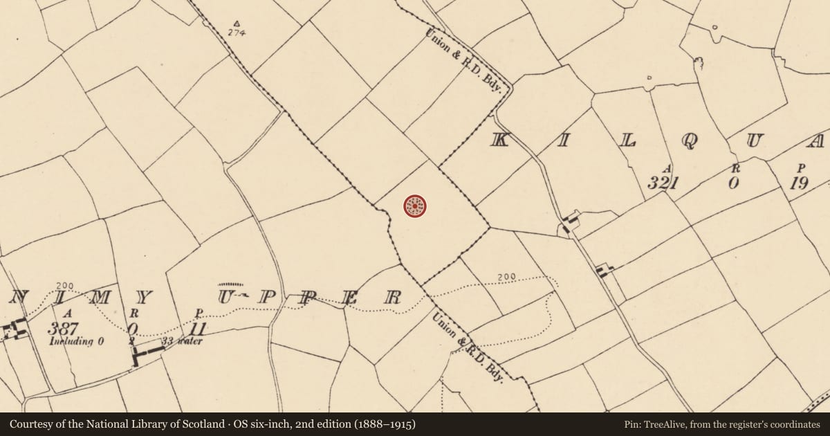 Ordnance Survey six-inch map, 2nd edition (1888–1915) covering the location of Ringfort - rath, Killissane, County Cork, with a pin at the register's coordinates