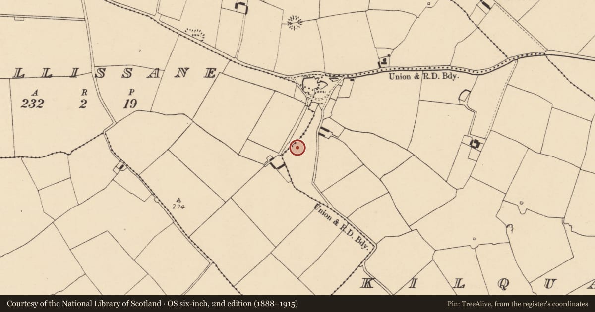 Ordnance Survey six-inch map, 2nd edition (1888–1915) covering the location of Ringfort - rath, Kilquane, County Cork, with a pin at the register's coordinates