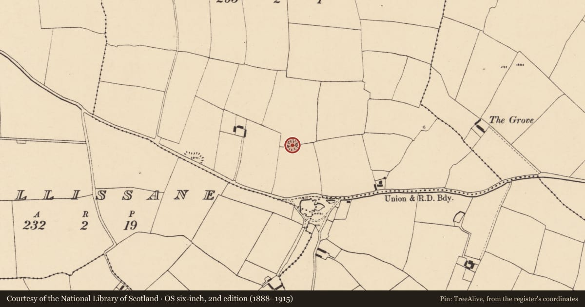 Ordnance Survey six-inch map, 2nd edition (1888–1915) covering the location of Ringfort - rath, Rathnacarton, County Cork, with a pin at the register's coordinates