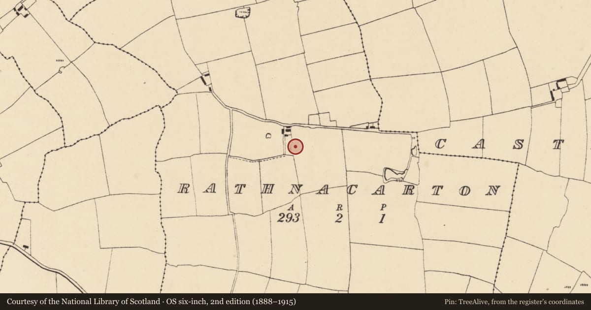 Ordnance Survey six-inch map, 2nd edition (1888–1915) covering the location of Ringfort - rath, Rathnacarton, County Cork, with a pin at the register's coordinates