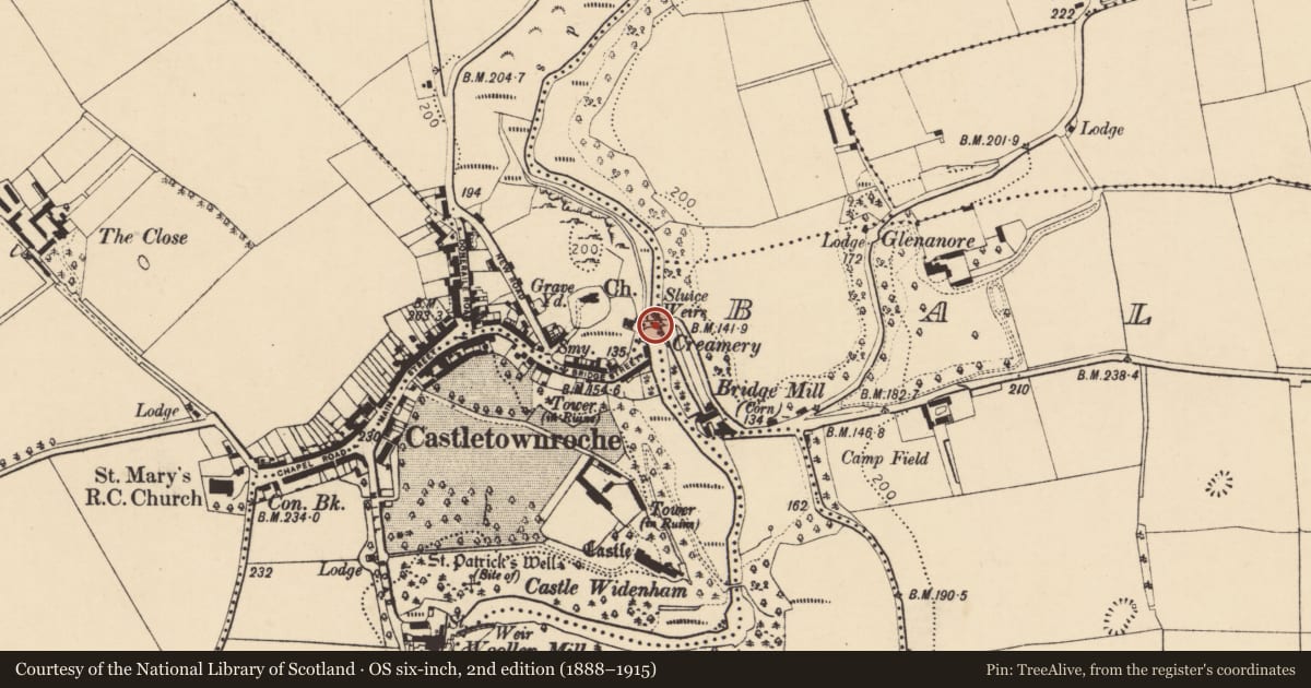 Ordnance Survey six-inch map, 2nd edition (1888–1915) covering the location of Bridge, County Cork, with a pin at the register's coordinates