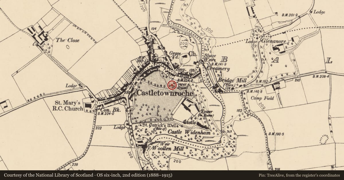 Ordnance Survey six-inch map, 2nd edition (1888–1915) covering the location of Designed landscape - belvedere, Castlewidenham, County Cork, with a pin at the register's coordinates