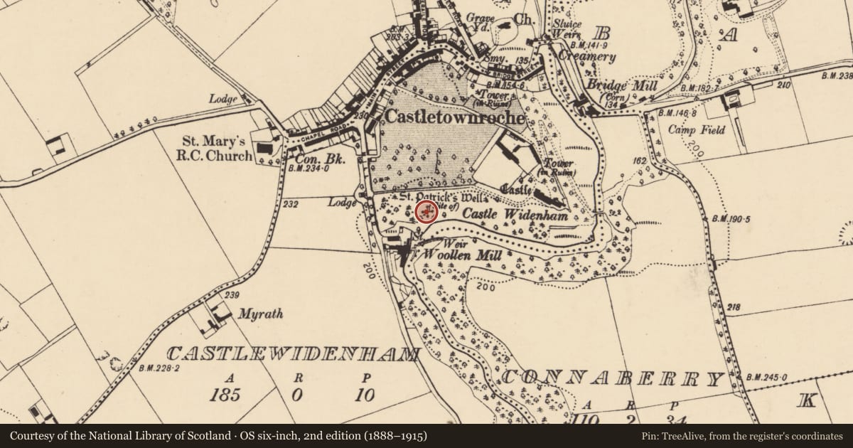 Ordnance Survey six-inch map, 2nd edition (1888–1915) covering the location of Sheela-na-gig, Castlewidenham, County Cork, with a pin at the register's coordinates