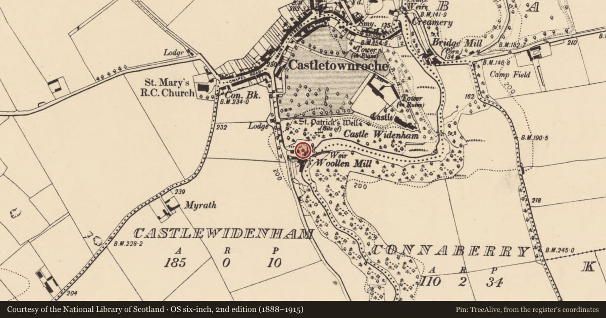 Ordnance Survey six-inch map, 2nd edition (1888–1915) covering the location of Mill - unclassified, Castlewidenham, County Cork, with a pin at the register's coordinates