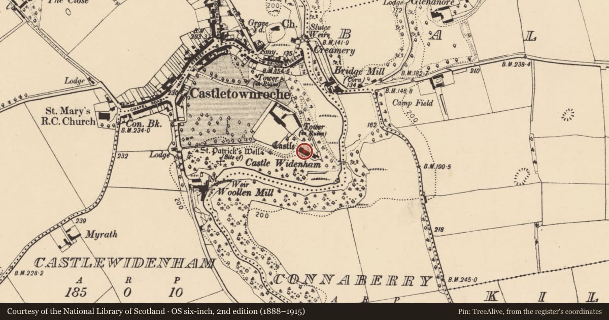 Ordnance Survey six-inch map, 2nd edition (1888–1915) covering the location of Country house, Castlewidenham, County Cork, with a pin at the register's coordinates