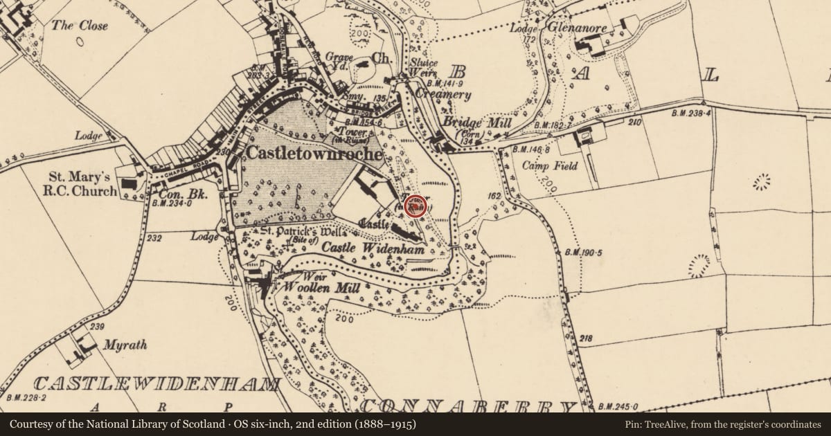 Ordnance Survey six-inch map, 2nd edition (1888–1915) covering the location of Designed landscape - belvedere, Castlewidenham, County Cork, with a pin at the register's coordinates