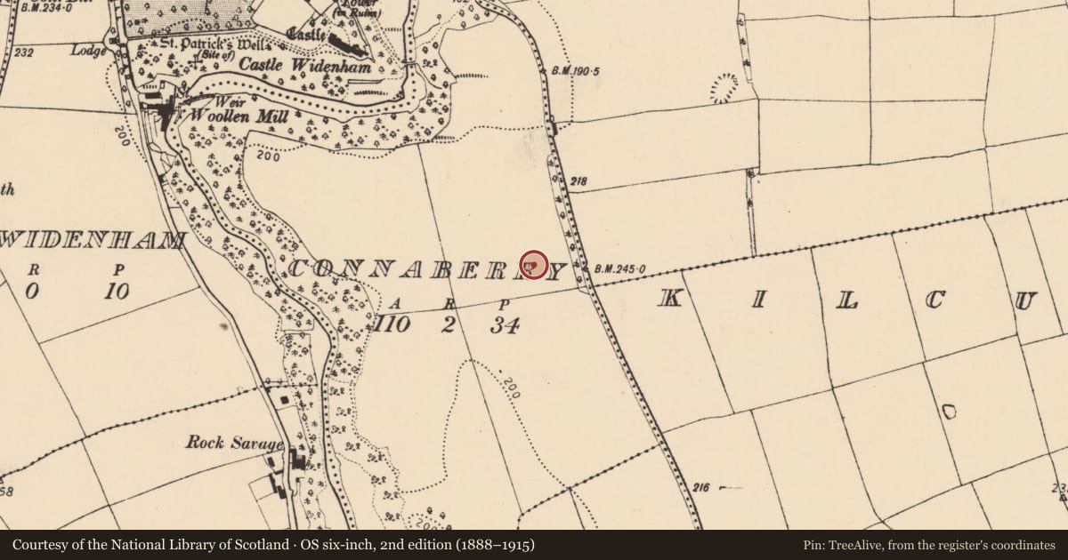 Ordnance Survey six-inch map, 2nd edition (1888–1915) covering the location of Ringfort - rath, Connaberry, County Cork, with a pin at the register's coordinates