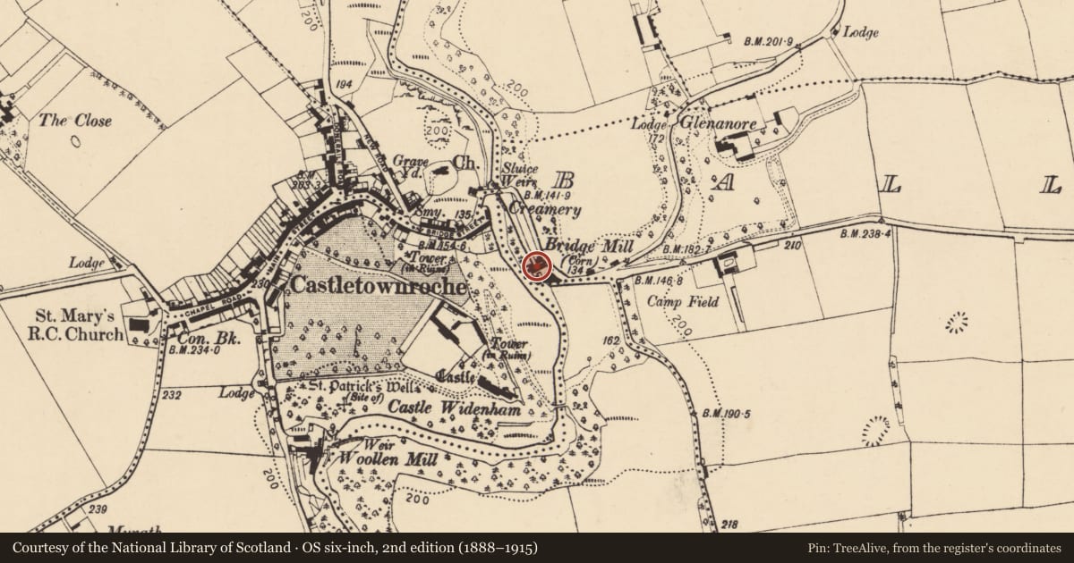 Ordnance Survey six-inch map, 2nd edition (1888–1915) covering the location of Mill - corn, Ballyadeen, County Cork, with a pin at the register's coordinates