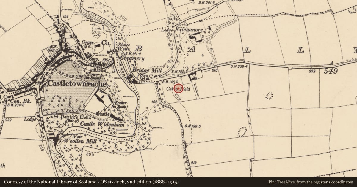 Ordnance Survey six-inch map, 2nd edition (1888–1915) covering the location of Battery, Ballyadeen, County Cork, with a pin at the register's coordinates