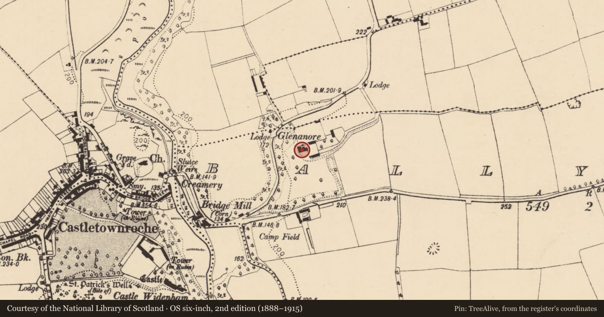 Ordnance Survey six-inch map, 2nd edition (1888–1915) covering the location of Country house, Ballyadeen, County Cork, with a pin at the register's coordinates