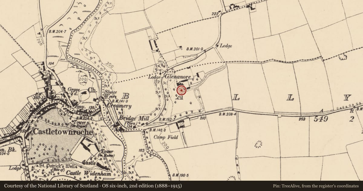 Ordnance Survey six-inch map, 2nd edition (1888–1915) covering the location of Dovecote, Ballyadeen, County Cork, with a pin at the register's coordinates