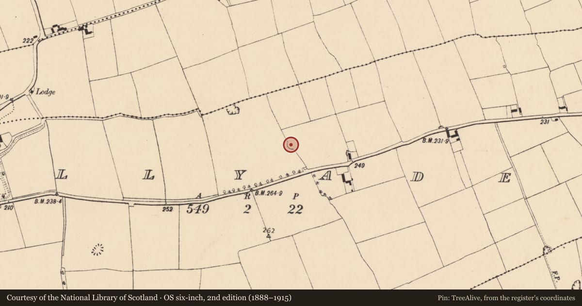 Ordnance Survey six-inch map, 2nd edition (1888–1915) covering the location of Ringfort - rath, Ballyadeen, County Cork, with a pin at the register's coordinates
