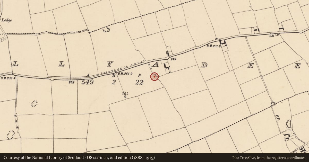 Ordnance Survey six-inch map, 2nd edition (1888–1915) covering the location of Ringfort - rath, Ballyadeen, County Cork, with a pin at the register's coordinates