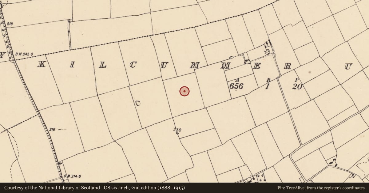 Ordnance Survey six-inch map, 2nd edition (1888–1915) covering the location of Barrow - mound barrow, Kilcummer Upper, County Cork, with a pin at the register's coordinates