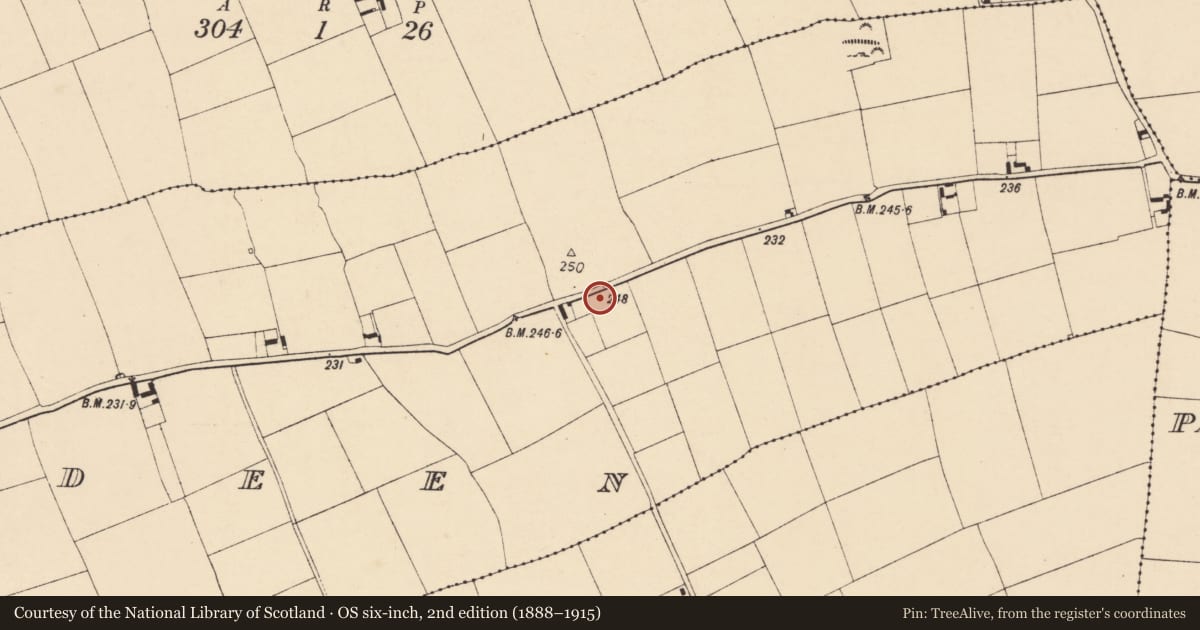 Ordnance Survey six-inch map, 2nd edition (1888–1915) covering the location of Ringfort - rath, Ballyadeen, County Cork, with a pin at the register's coordinates