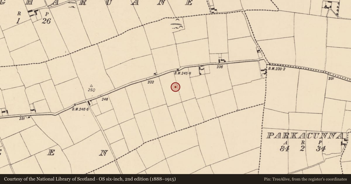 Ordnance Survey six-inch map, 2nd edition (1888–1915) covering the location of Fulacht fia, Ballyadeen, County Cork, with a pin at the register's coordinates